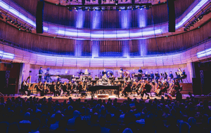 Orchestra under purple lights