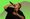 Performer singing into a microphone against a bright green and pink graphic background.