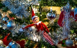 2 Selective focus on naughty Christmas elf sat in a decorated Christmas tree